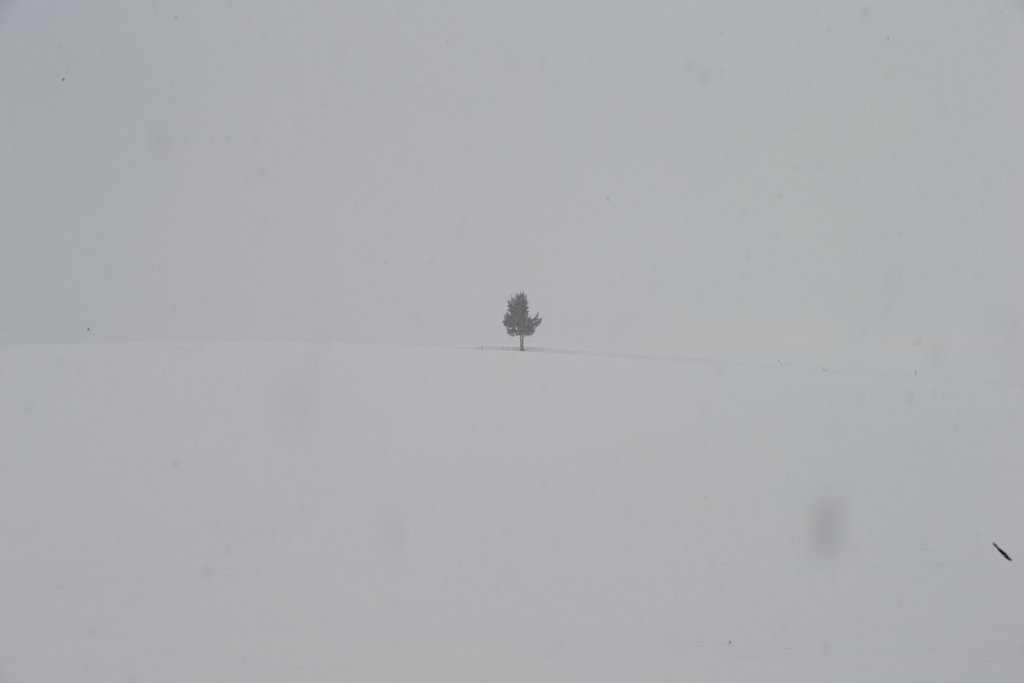 吹雪の向こう側