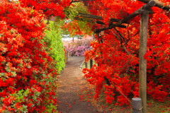華迎え