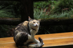 ベンチの上にて