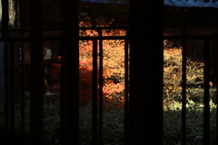 闇の向こうの光