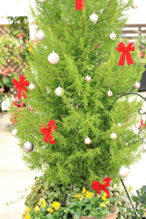 もうすぐクリスマス