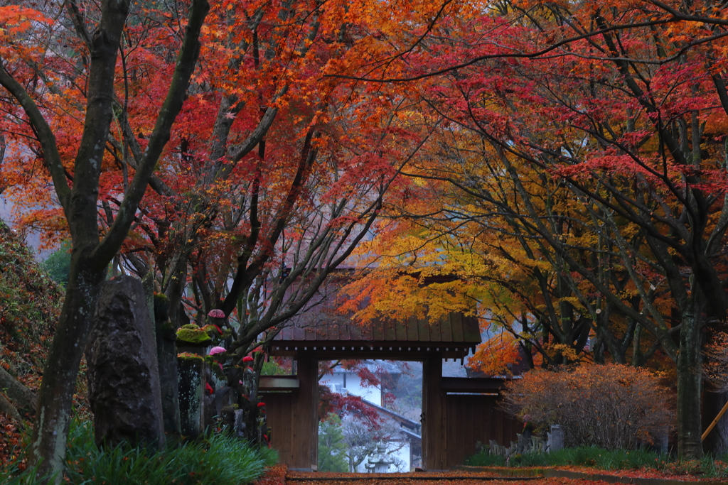 寺院の秋盛り