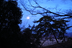 朝の月