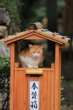 お出迎え
