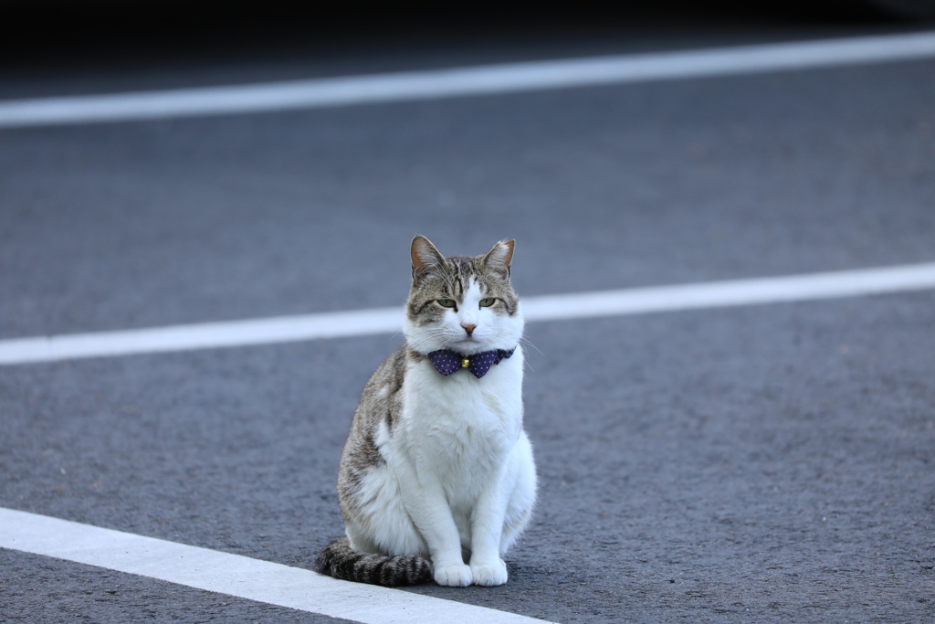 駐車場にて