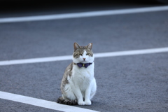駐車場にて