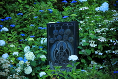 紫陽花に囲まれた石碑