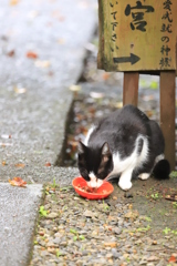 朝ご飯