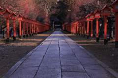 梅開く参道