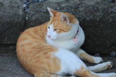 石段の前にて