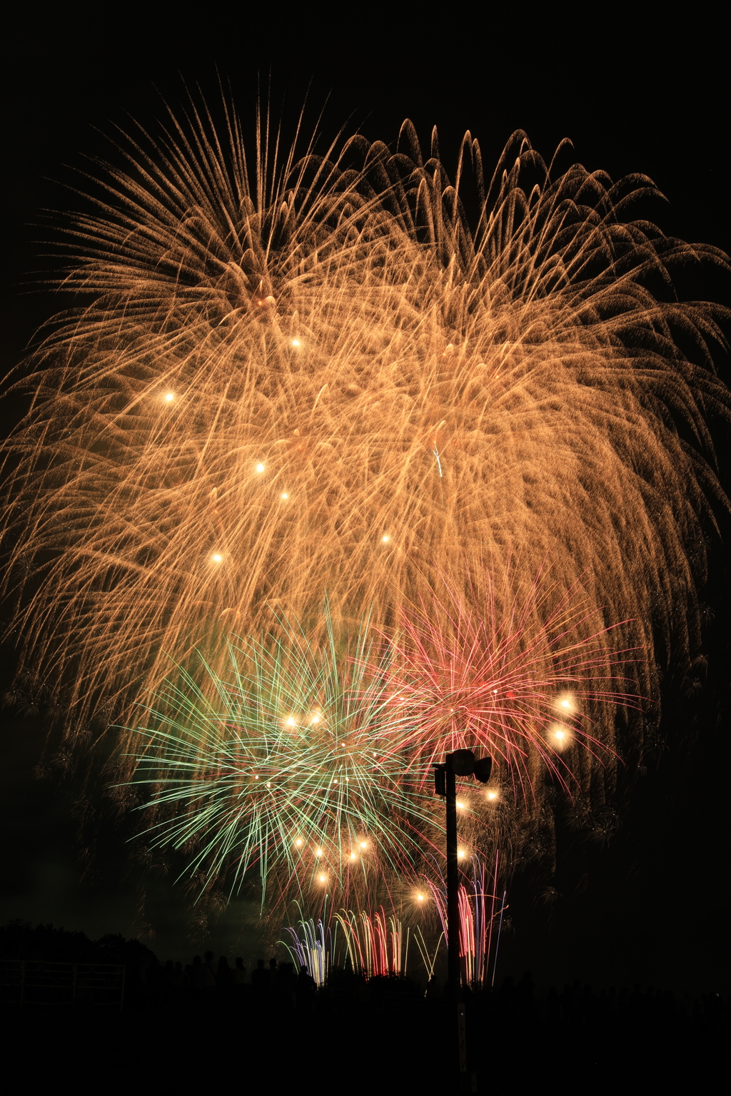 夜空に満開