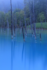 青い池　その２