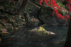 池ほとりの秋