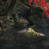 池ほとりの秋