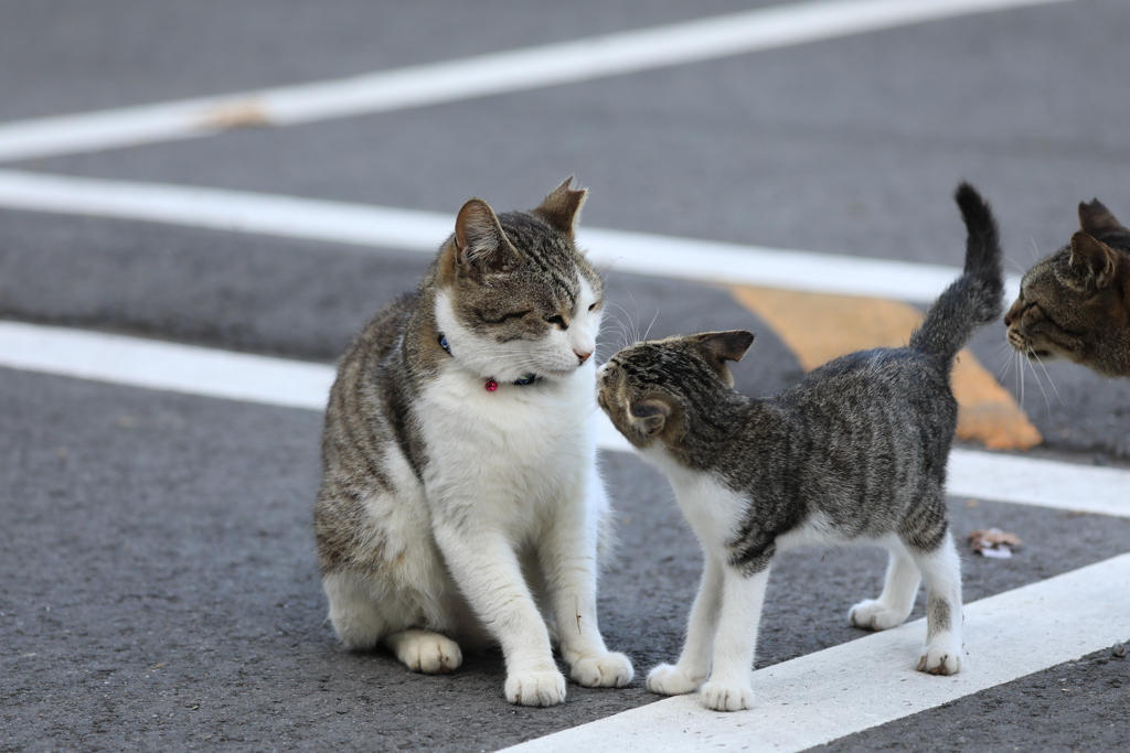 ごあいさつ