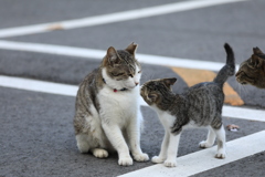 ごあいさつ