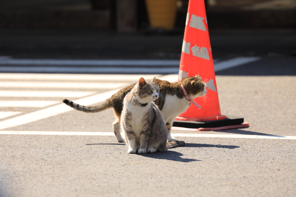 コーンのそばにて