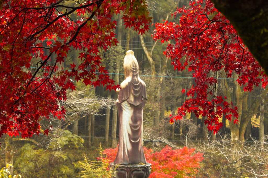 秋の祈り