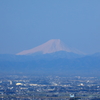 今日の富士山