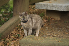 ベンチの横にて