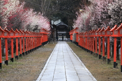 華やぎの中のお参り