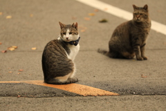 振り返る