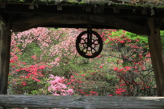 井戸の向こうの風景