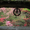井戸の向こうの風景