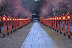 山門の華やぎ
