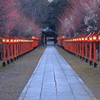 山門の華やぎ