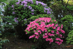 庭園