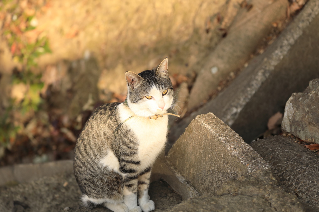 石壁の前にて