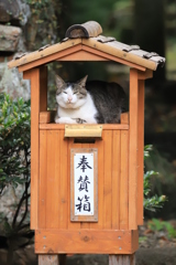 お宿の神様