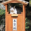 お宿の神様
