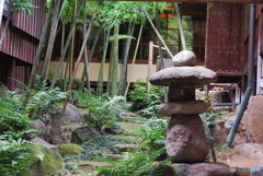 庭園
