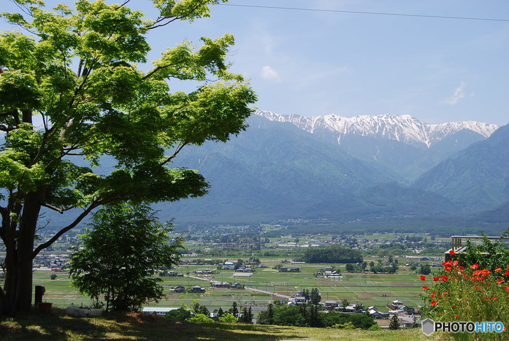 田園