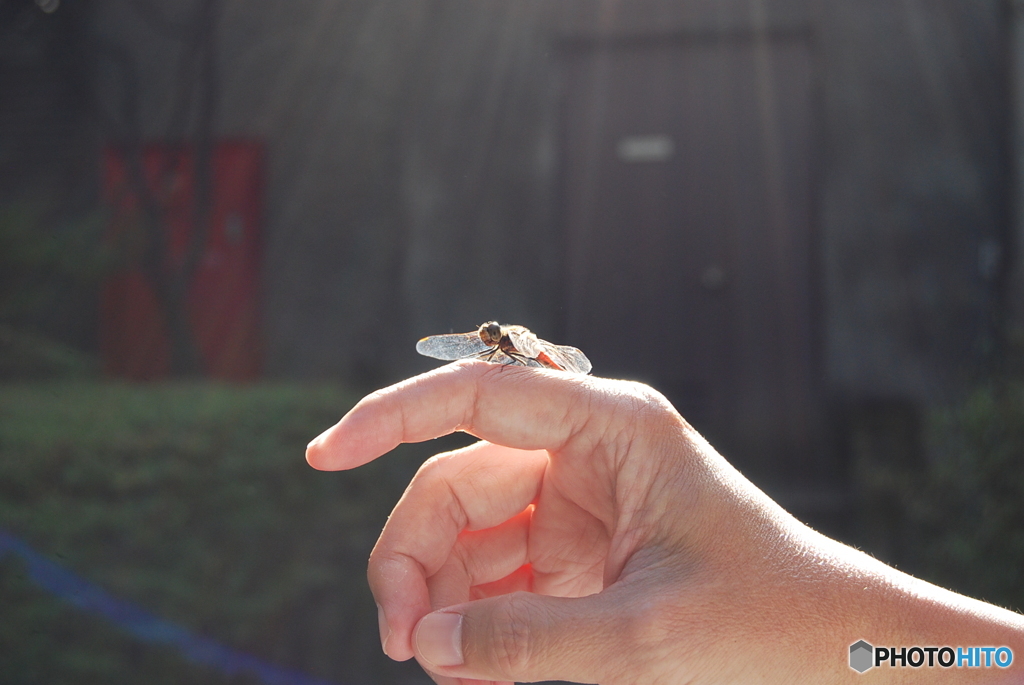 ここが落ち着くのか？