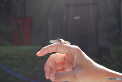 ここが落ち着くのか？