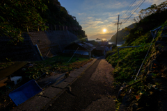 朝がきた