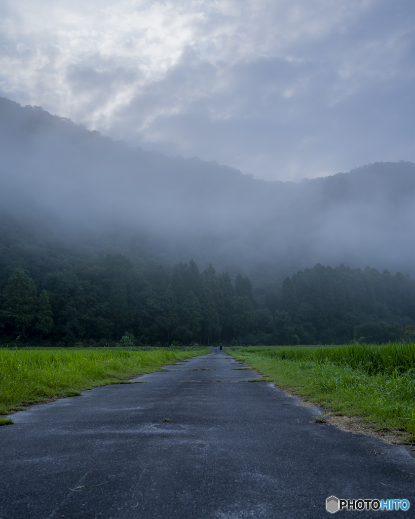 朝霧