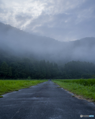 朝霧