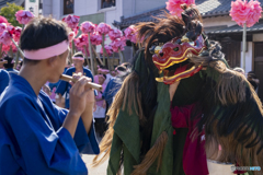 灘のけんか祭り③