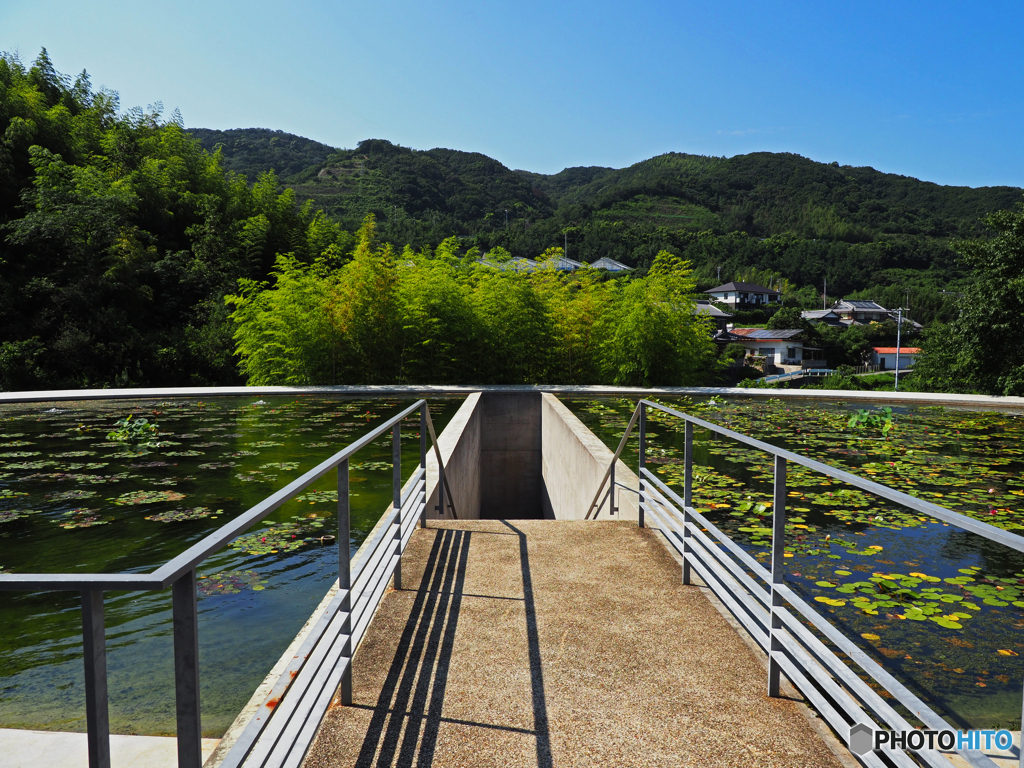 本福寺水御堂