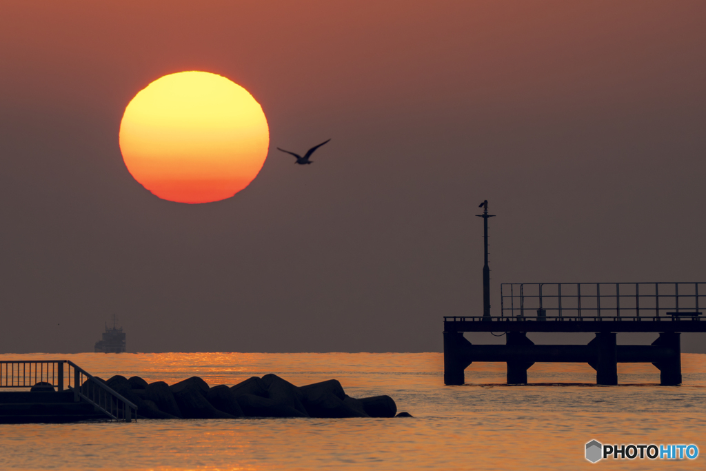 夕日
