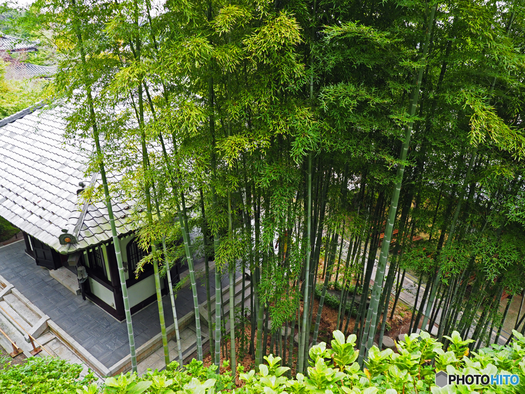 長谷寺③