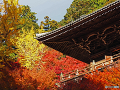 書寫山圓教寺 ①