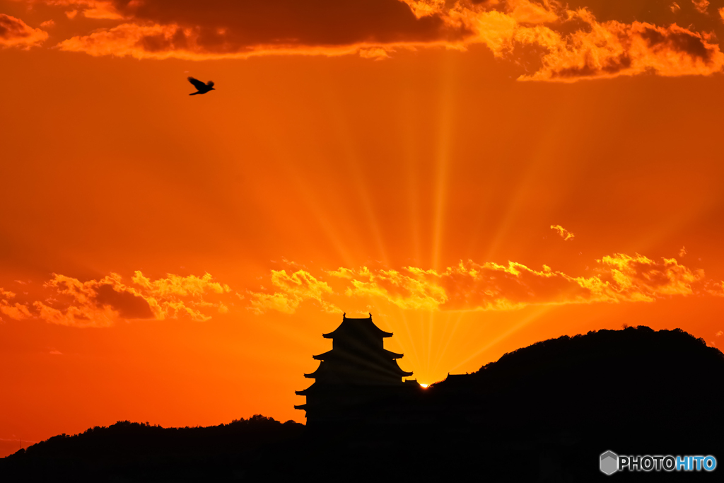 姫路城と夕日①