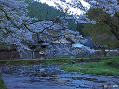 佐中の千年家⑤