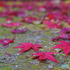 八徳山八葉寺⑤