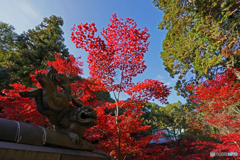 八徳山八葉寺④